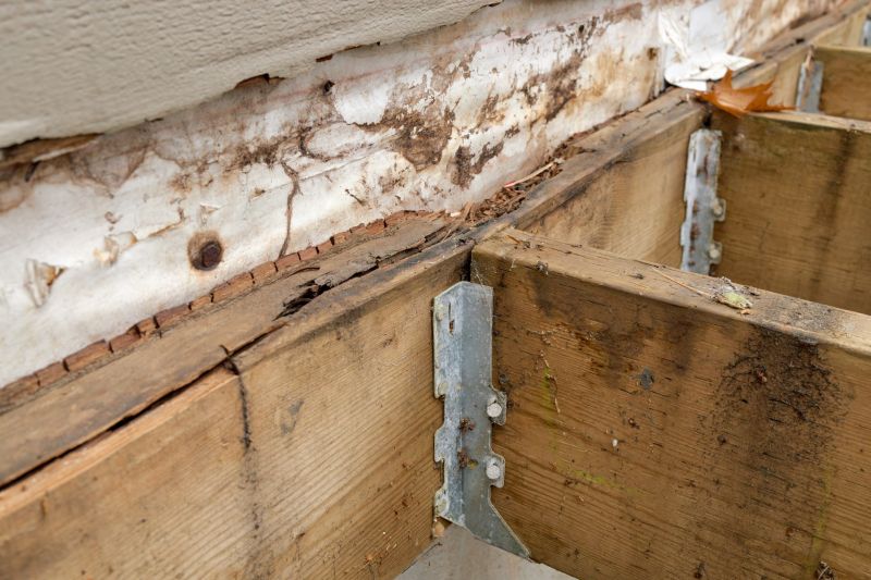 Outdoor Wood Rot Repair