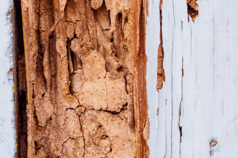 Outdoor Wood Rot Repair