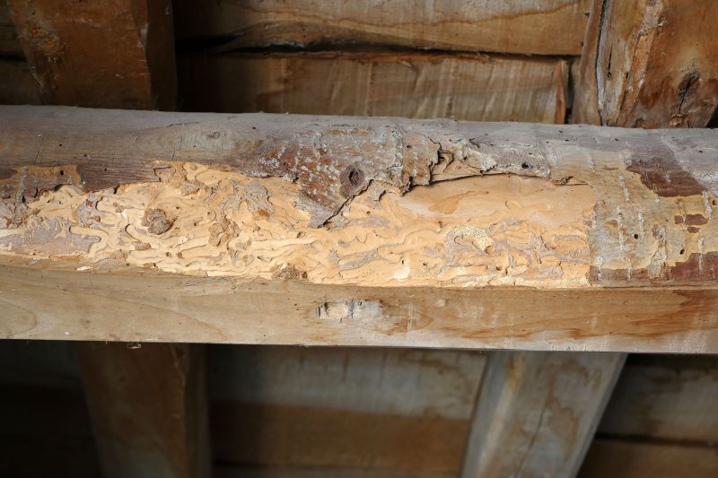 Decay Repair Service in Conroe, TX