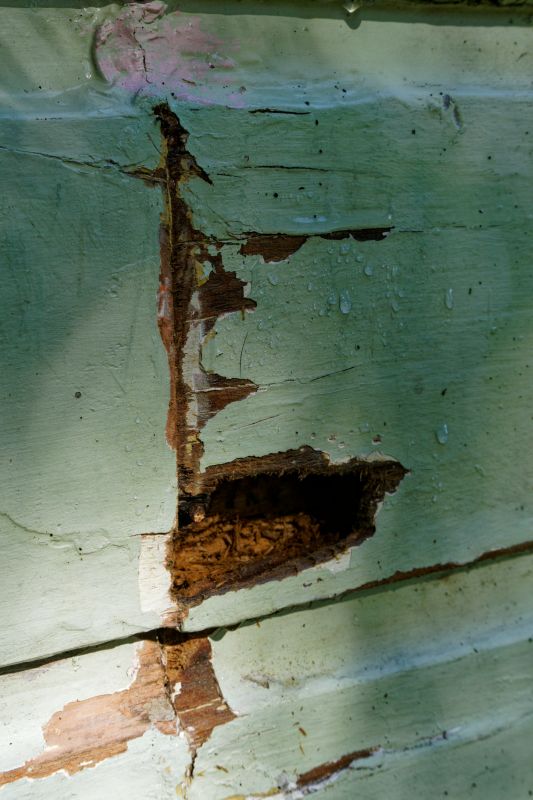 Decayed Wood Replacement in Littleton, CO