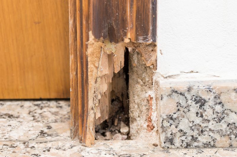 Decayed Wood Replacement in Indianapolis, IN