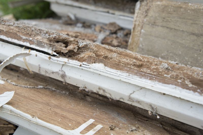 Dry Rot Remediation in Boulder, CO