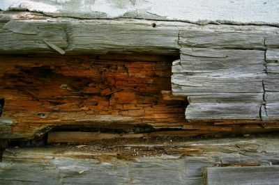 Outdoor Wood Rot Repair detail