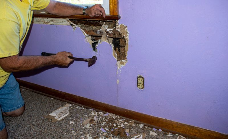 Pest Damage Repair in Denver, CO