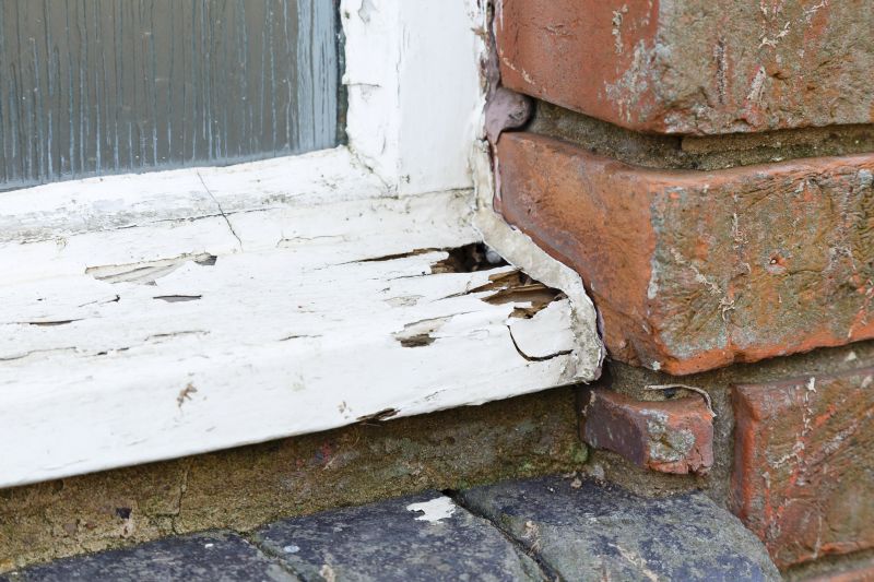 Rot Repair Service in Arvada, CO