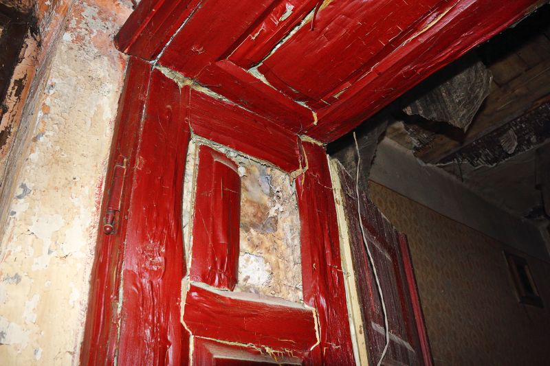 Rot Repair Service in Boulder, CO