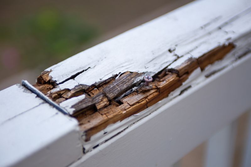 Rot Repair Service in Kansas City, MO