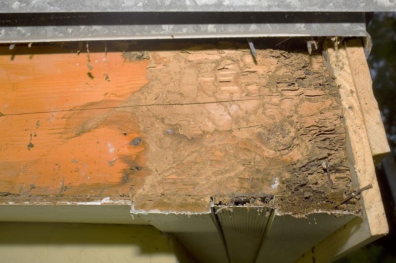 Structural Rot Repair in Conroe, TX
