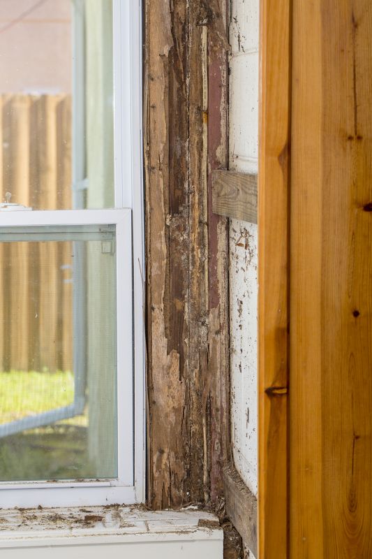 Termite Damage Restoration in Kansas City, MO