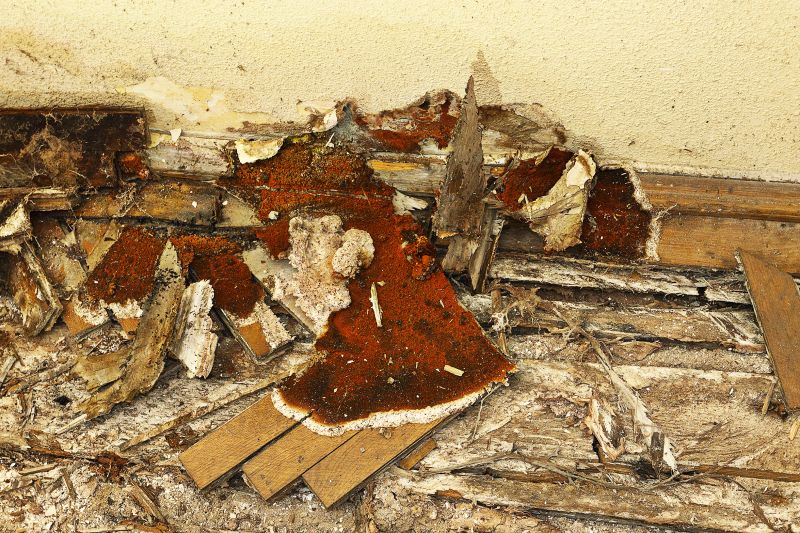 Wood Decay Repair in Denver County, CO