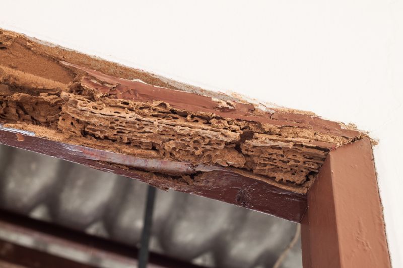 Wood Rot Repair in Kansas City, KS